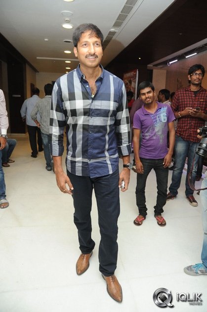 Loukyam-Movie-Platinum-Disc-Function